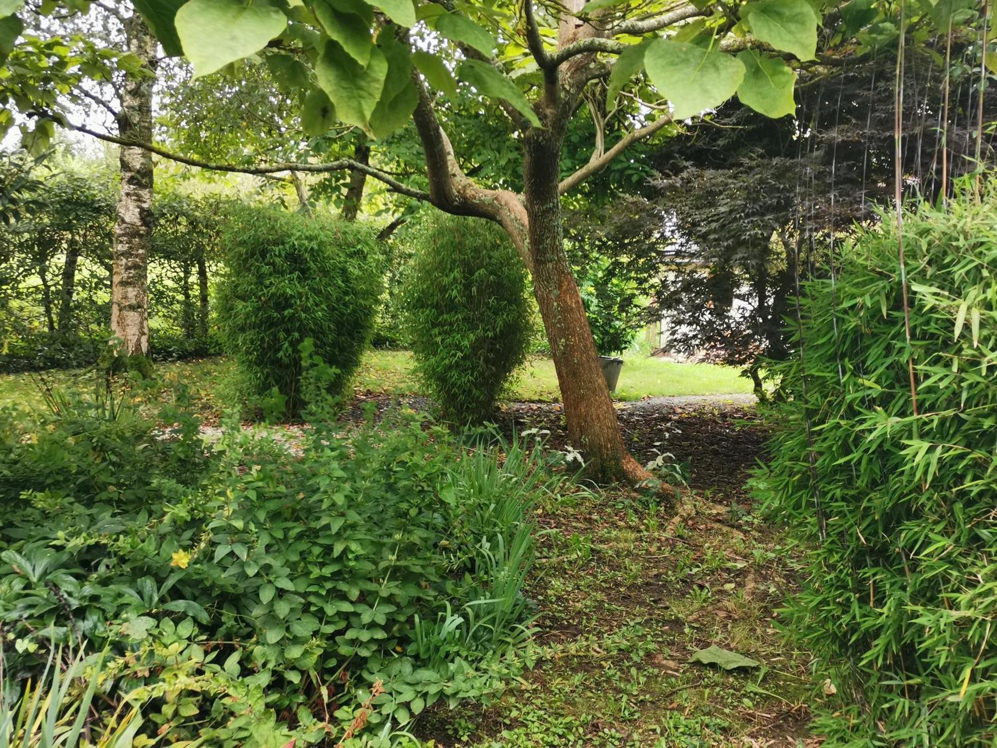 Les Brassins Du Dillon Villa Moyon Kültér fotó